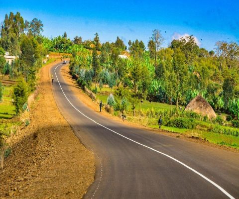 Aleta Wondo daye Road upgrading – length: 51km