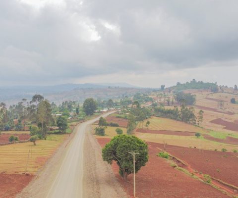 Yayo Elemo Road Project – 25 Km